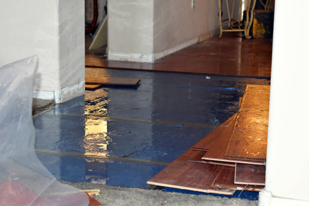 Professional Water Damage Restoration technician working in Brainard, NY